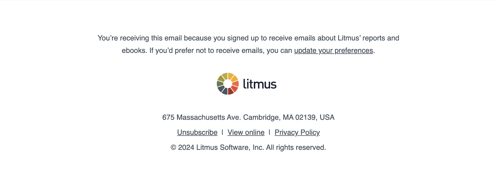 Email footer from Litmus as an example of an email module. 